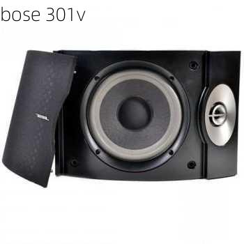 bose 301v-第3张图片-模头数码科技网