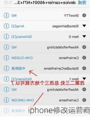 iphone修改运营商-第1张图片-模头数码科技网