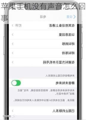 苹果手机没有声音怎么回事-第2张图片-模头数码科技网