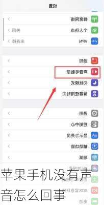 苹果手机没有声音怎么回事-第3张图片-模头数码科技网