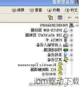 ibm驱动下载-第1张图片-模头数码科技网