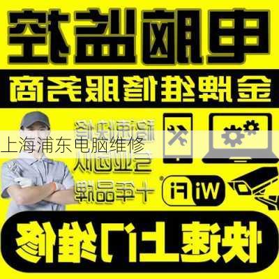 上海浦东电脑维修-第3张图片-模头数码科技网