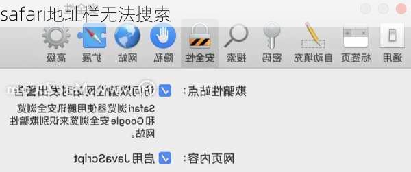safari地址栏无法搜索-第2张图片-模头数码科技网
