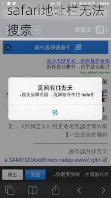 safari地址栏无法搜索-第3张图片-模头数码科技网